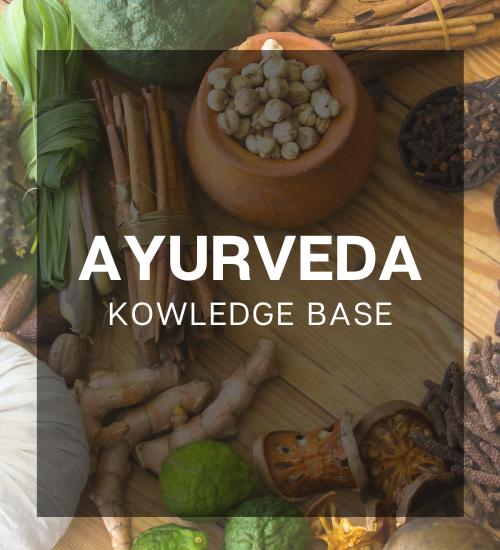 Ayurveda Knowledge Base