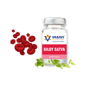 Sattva